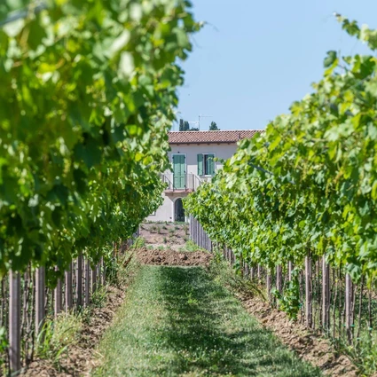 Light Lunch in Wine Resort: L’Aperitivo Creativo Vista Lago a Lazise 6